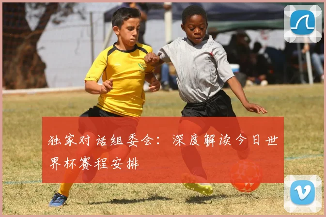 独家对话组委会：深度解读今日世界杯赛程安排