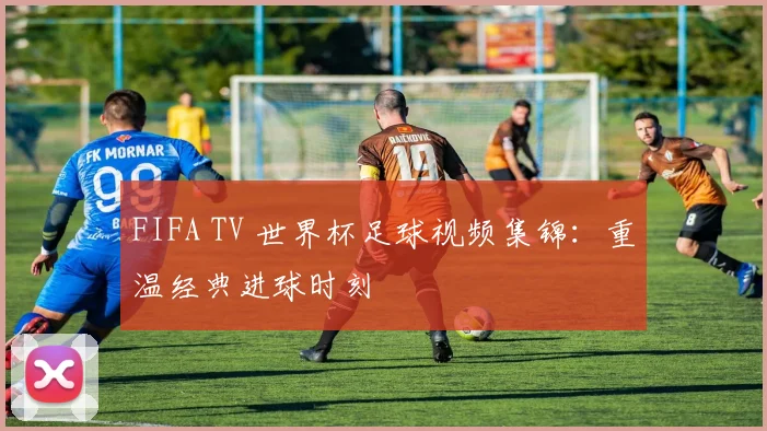 FIFA TV 世界杯足球视频集锦:重温经典进球时刻