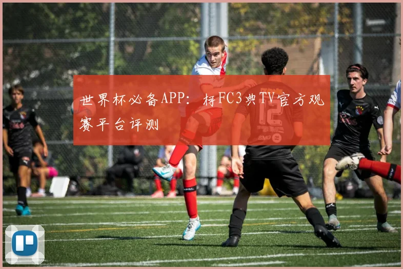 世界杯必备APP:柯FC3典TV官方观赛平台评测