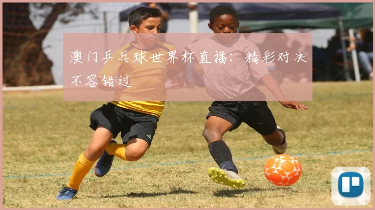 澳门乒乓球世界杯直播：精彩对决不容错过