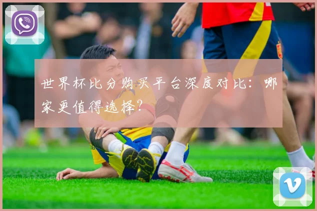 世界杯比分购买平台深度对比：哪家更值得选择？