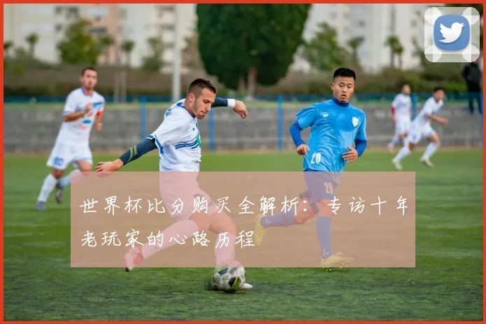 世界杯比分购买全解析:专访十年老玩家的心路历程