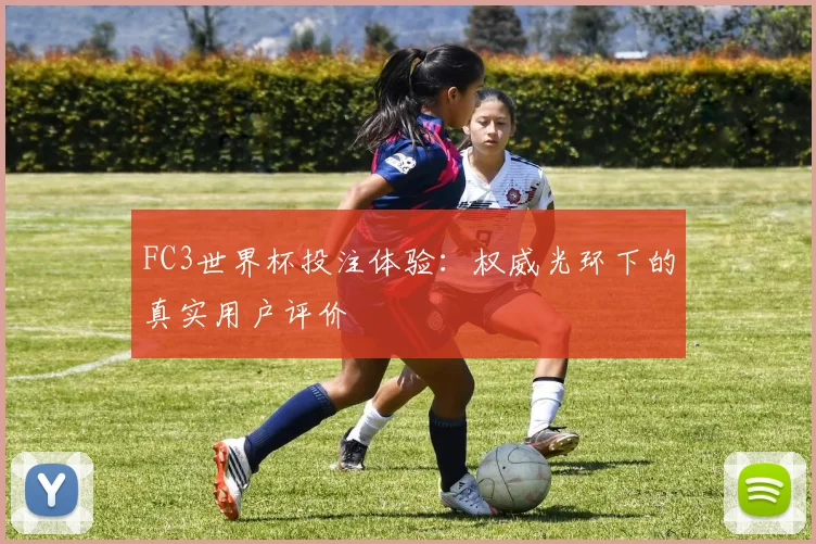 FC3世界杯投注体验:权威光环下的真实用户评价