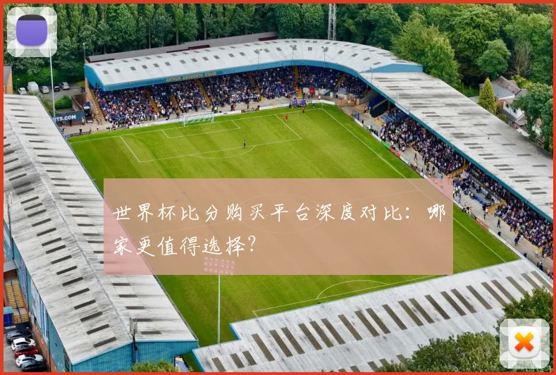 世界杯比分购买平台深度对比：哪家更值得选择？