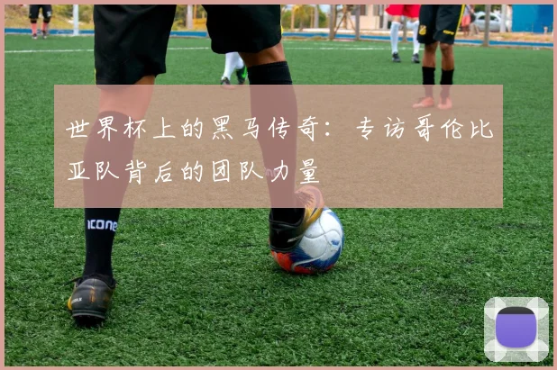 世界杯上的黑马传奇:专访哥伦比亚队背后的团队力量